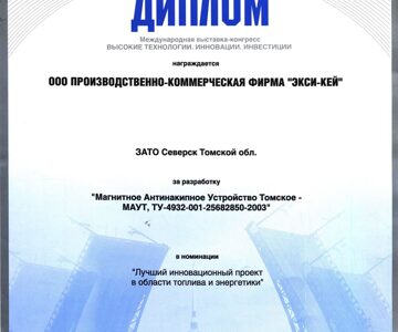 Диплом_инновационный проект_2006